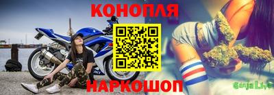 молекула духа Новокубанск