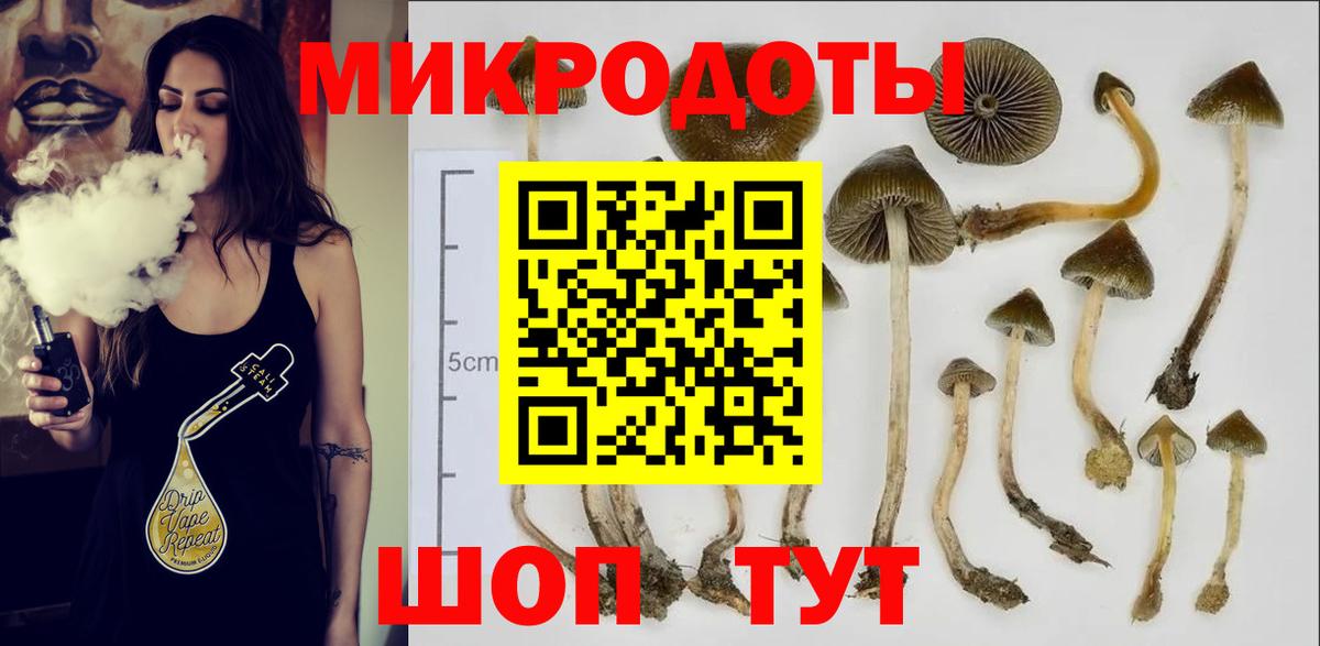Псилоцибиновые грибы прущие грибы  Вход с VPN  Бутурлиновка 